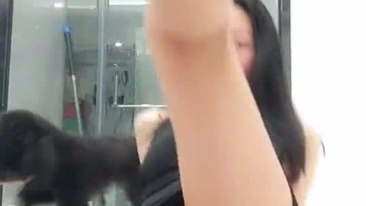 幸福的泰迪